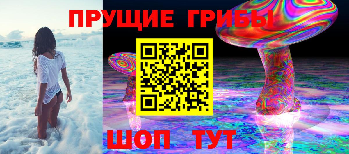 Галлюциногенные грибы Psilocybine cubensis  Вход с VPN  Серпухов 