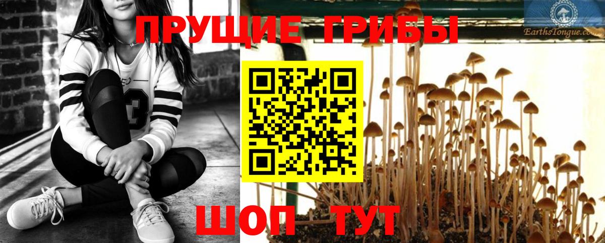 Галлюциногенные грибы MAGIC MUSHROOMS Серпухов